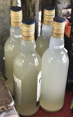 Bottles of coconut vinegar (langgaw) from Hamtic, Antique
